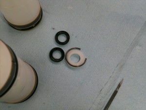 PICA0298