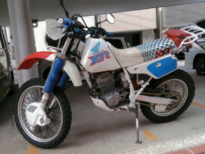 PICA0421