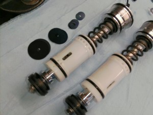 PICA0535