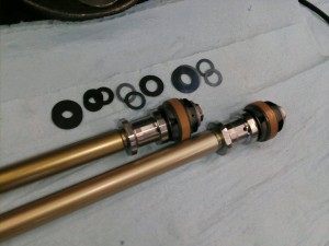 PICA0536