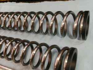 PICA0553