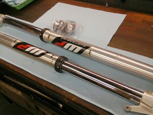 PICA0667