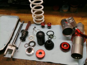 PICA0561